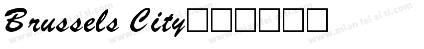 Brussels City字体转换